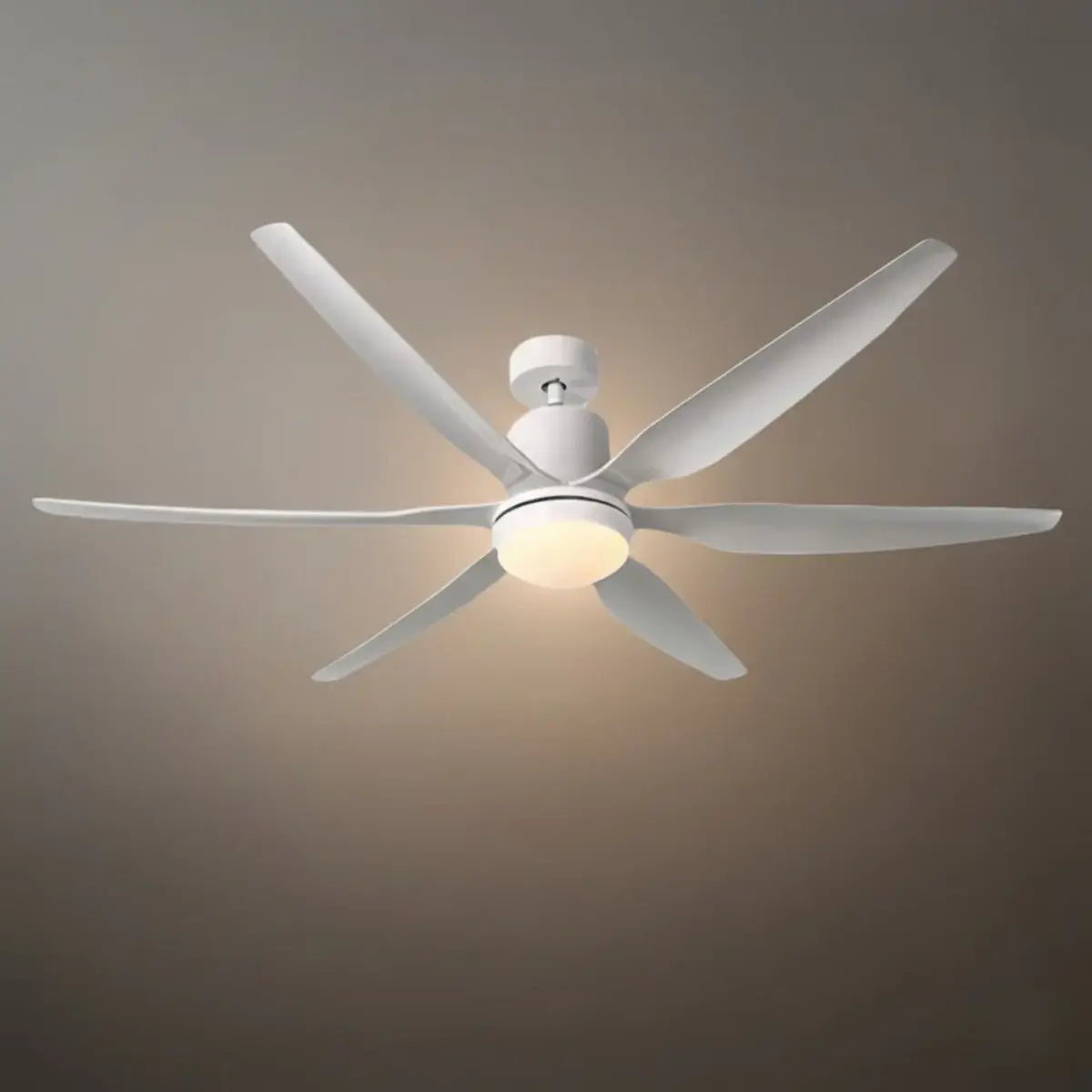 Morandia Modern Ceiling Fan Light